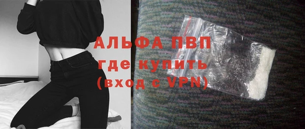 PSILOCYBIN Гусев