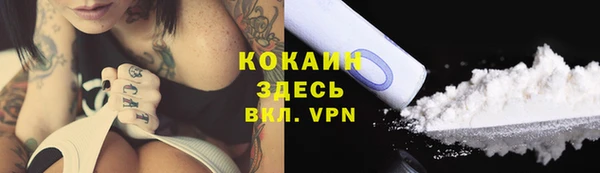 винт Гусь-Хрустальный
