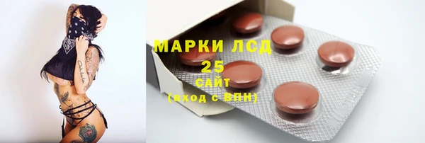 гидра Горно-Алтайск