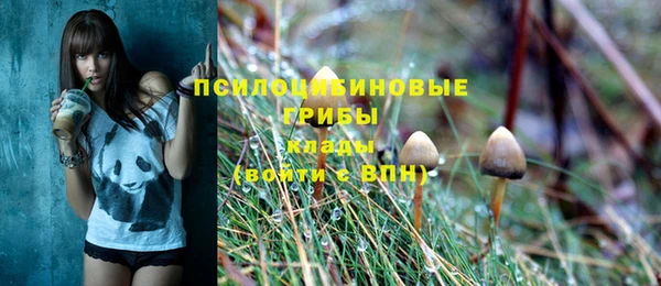 кристаллы Гусиноозёрск