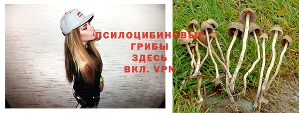 кристаллы Гусиноозёрск