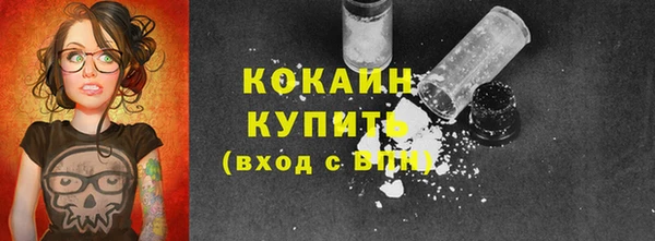 PSILOCYBIN Гусев