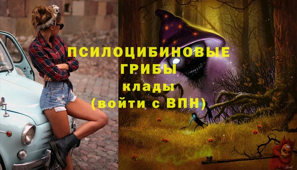 не бодяженный Нефтегорск