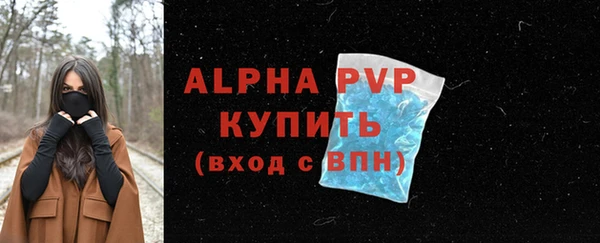 гидра Горно-Алтайск