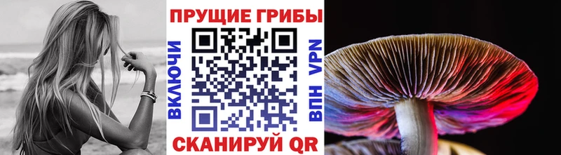 Псилоцибиновые грибы Cubensis  Купить  Краснокамск 